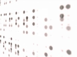 braille projection 1