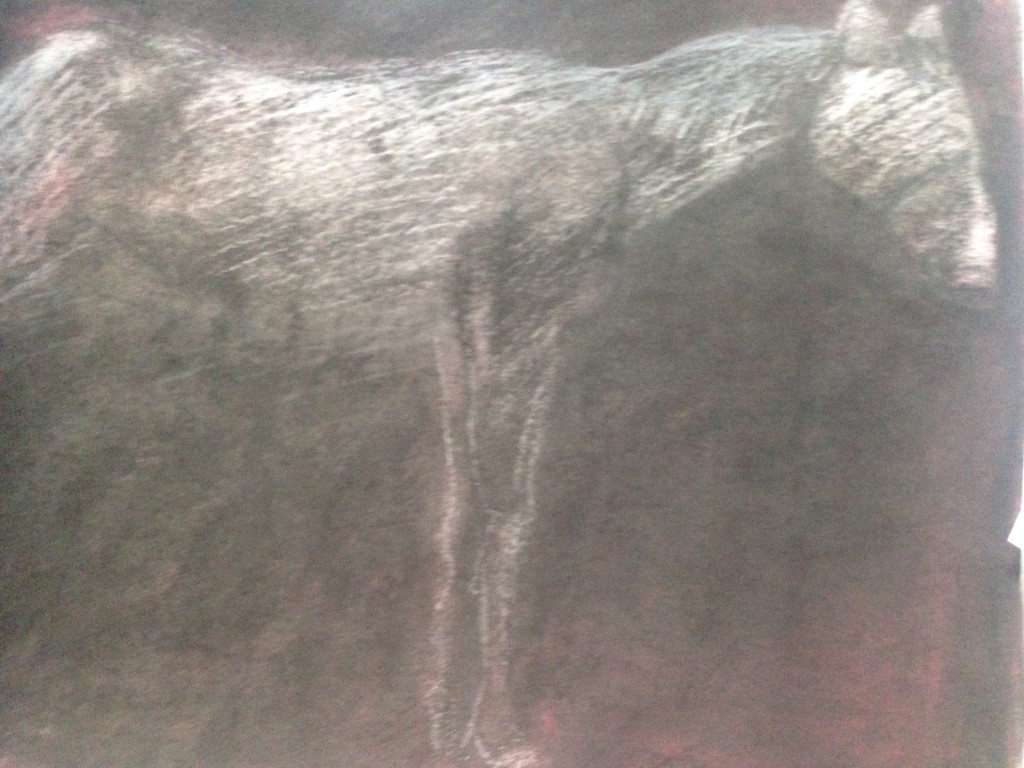 "blind horse portrait" 18 x 25 charcoal on paper 2016