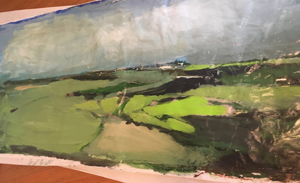 wall sized landscape 1 Govenor's island Oct 2017  7ft x 3 ft