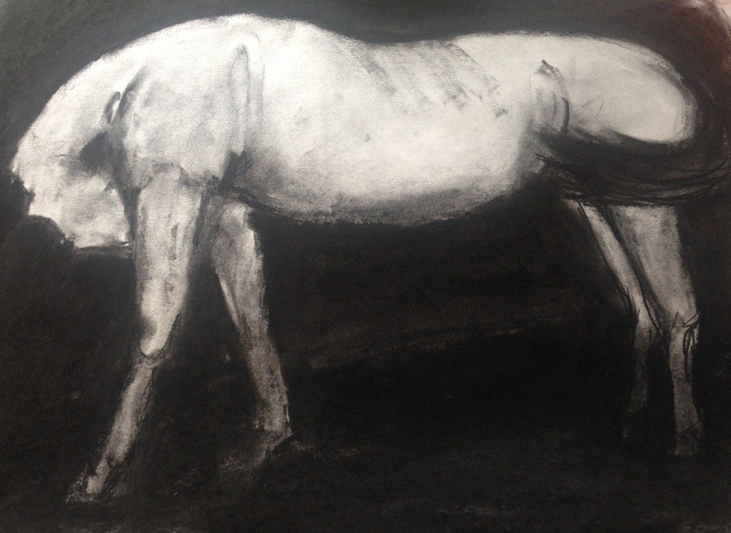 Bowed Horse 33x43 charcoal on paper 2016